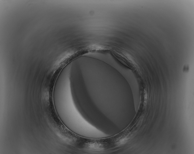 X0000089960500200707061143