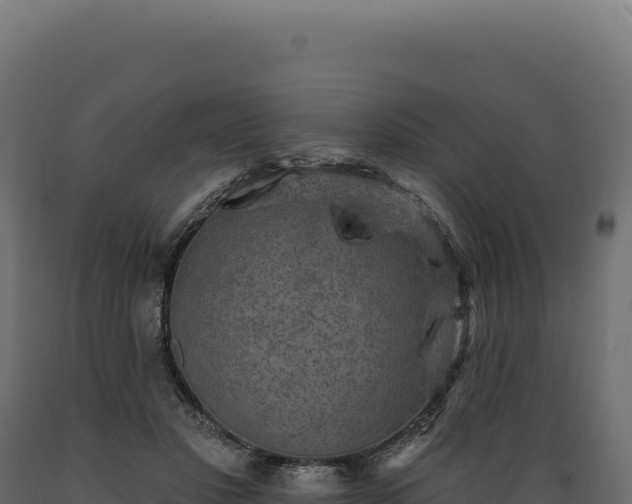 X0000089960501200707061143