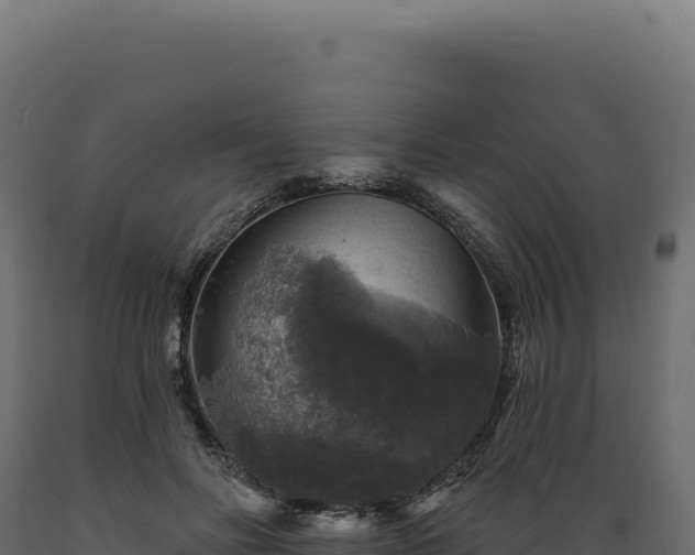 X0000089960502200707061143