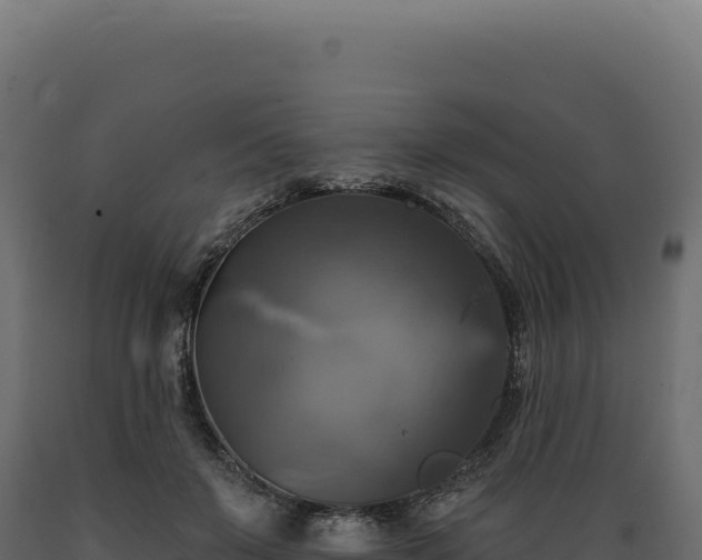 X0000089960503200707061143