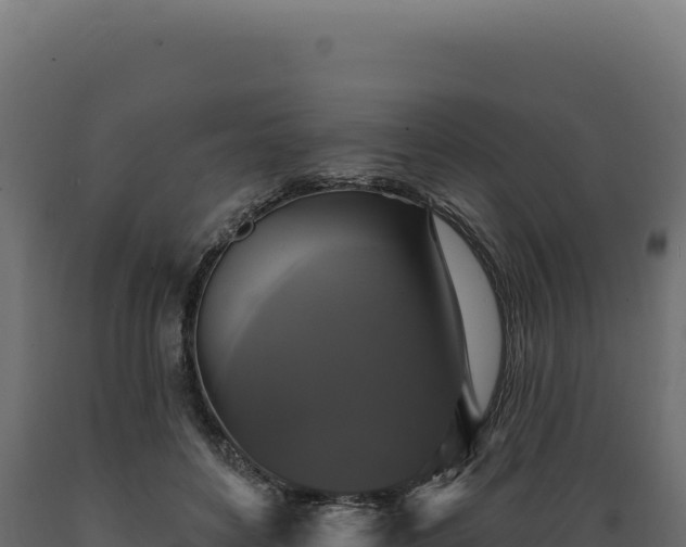X0000089960504200707061143