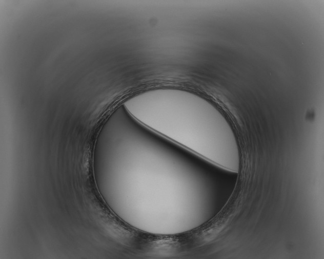 X0000089960505200707061143