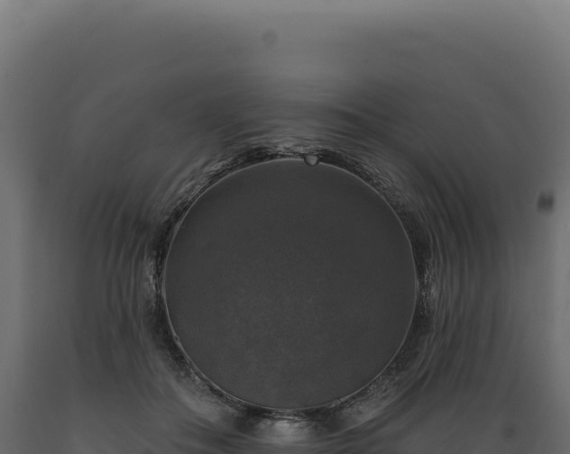 X0000089960506200707061143