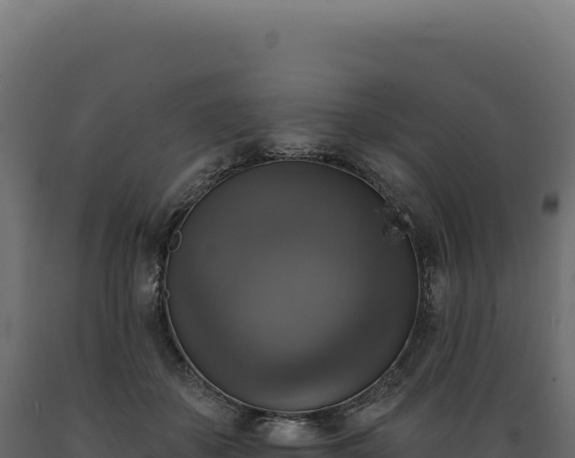 X0000089960507200707061143