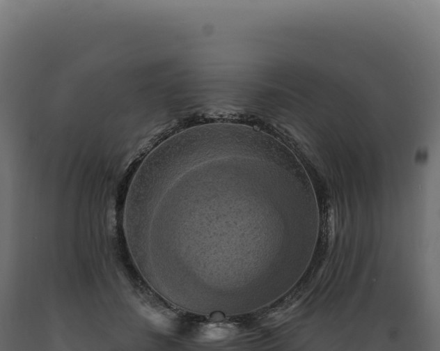 X0000089960508200707061143