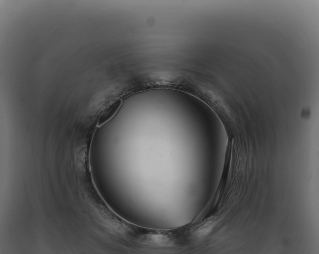 X0000089960509200707061143