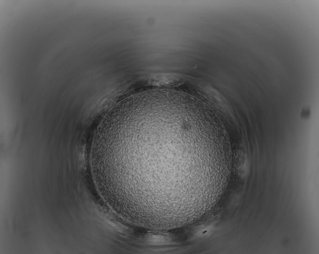 X0000089960510200707061143