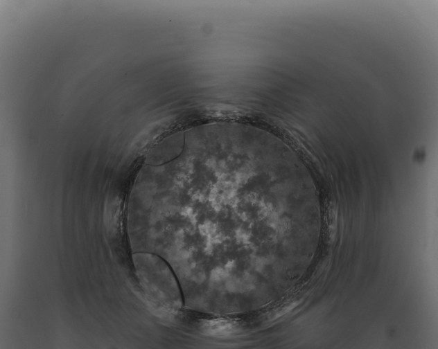 X0000089960511200707061143