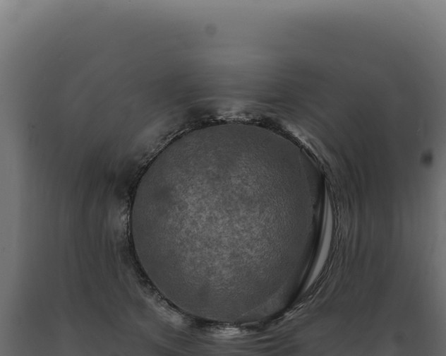 X0000089960513200707061143