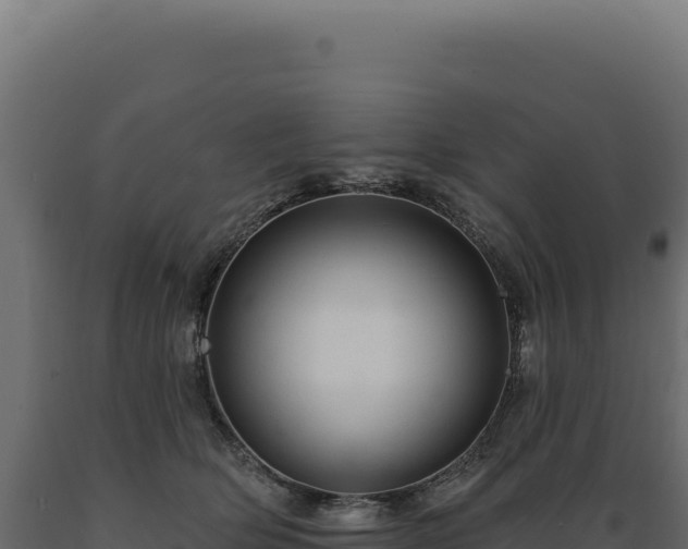X0000089960514200707061143