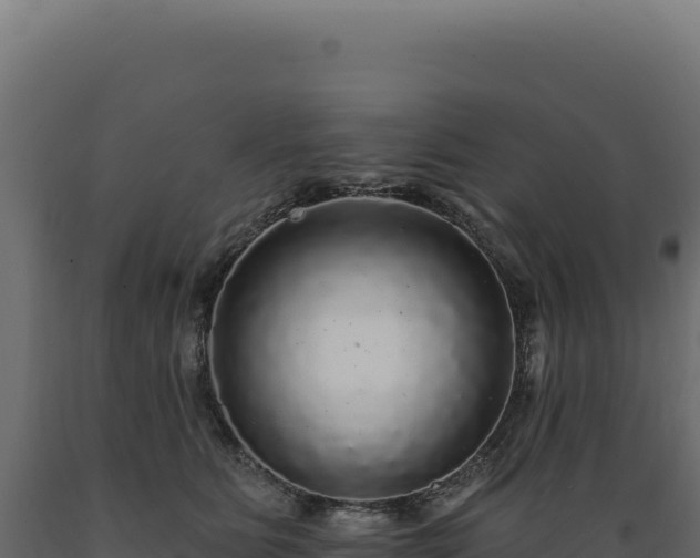 X0000089960515200707061143