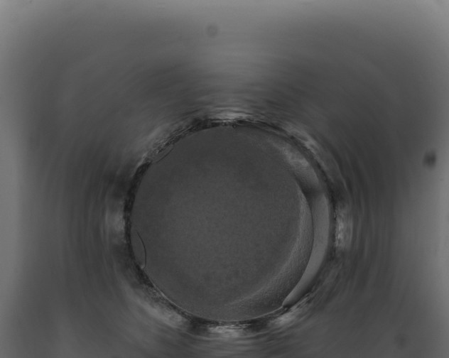 X0000089960516200707061143