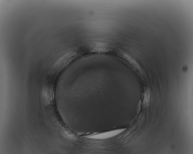 X0000089960517200707061143