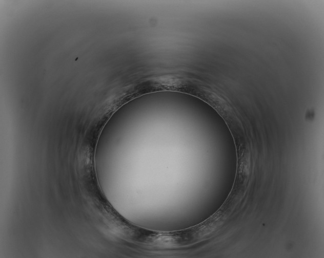 X0000089960518200707061143