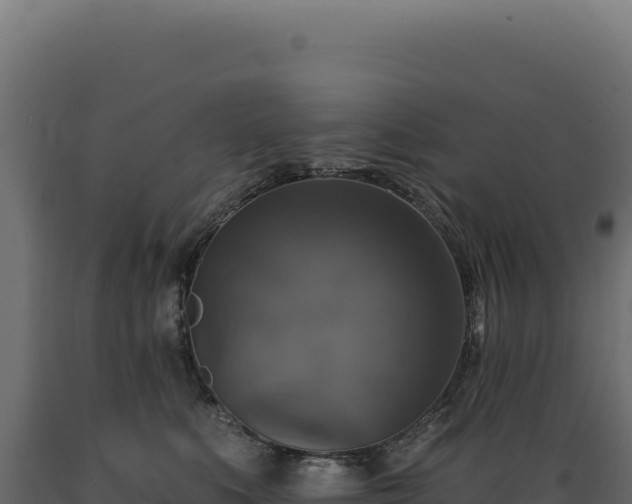 X0000089960519200707061143
