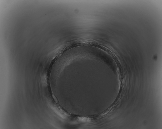 X0000089960520200707061143
