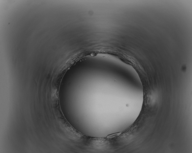 X0000089960521200707061143