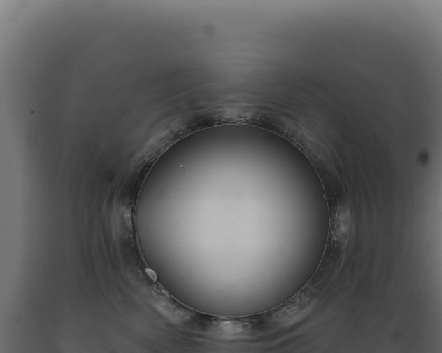 X0000089960522200707061143