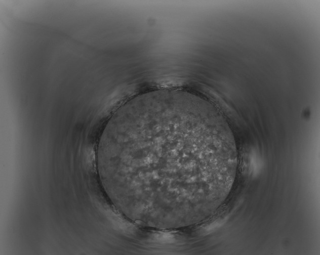 X0000089960523200707061143