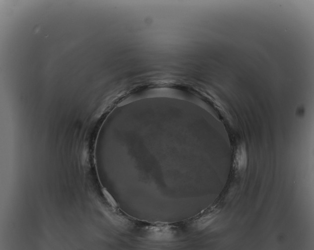 X0000089960524200707061142