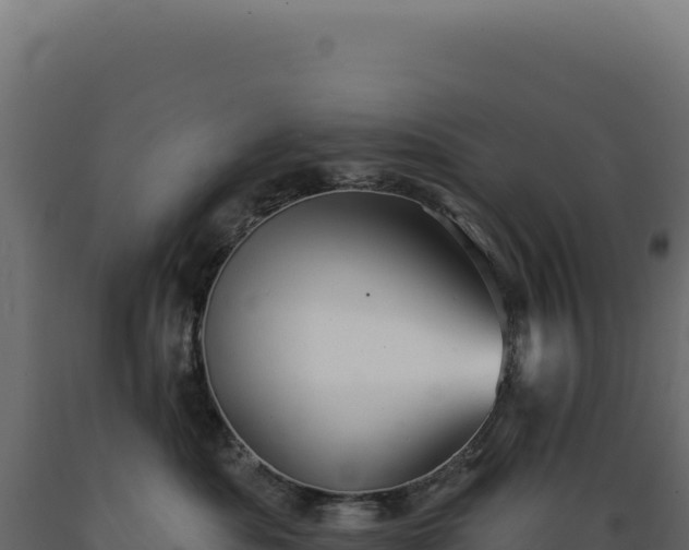 X0000089960525200707061142