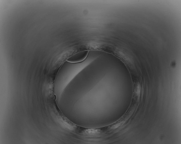 X0000089960526200707061142
