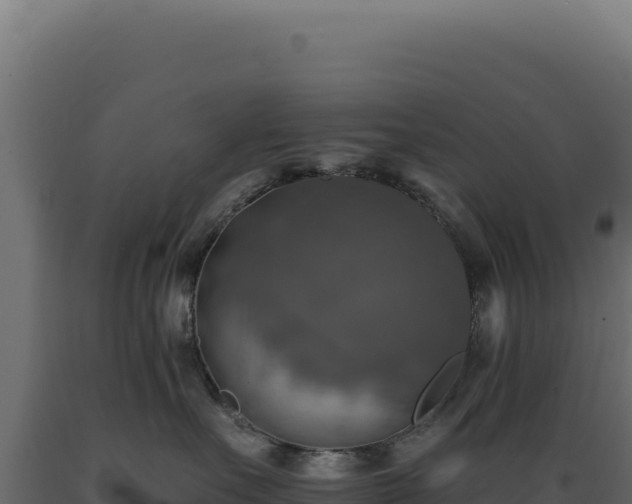 X0000089960527200707061142