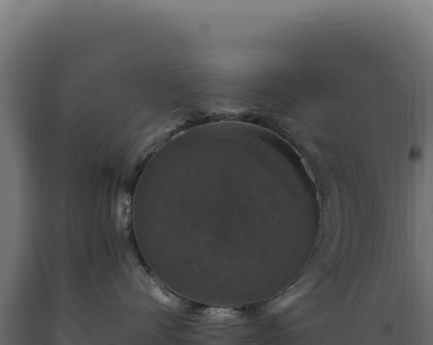 X0000089960528200707061142