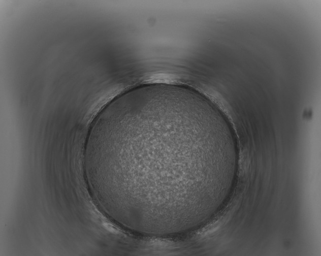 X0000089960529200707061142