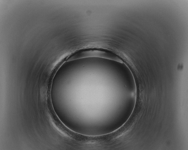 X0000089960530200707061142