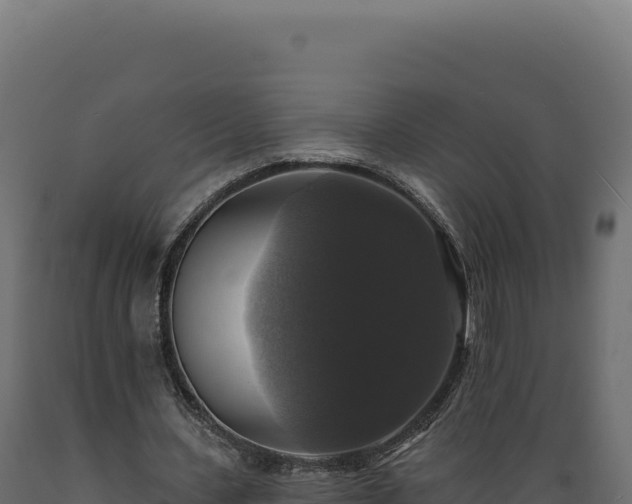 X0000089960531200707061142