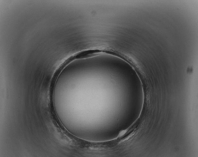X0000089960532200707061142