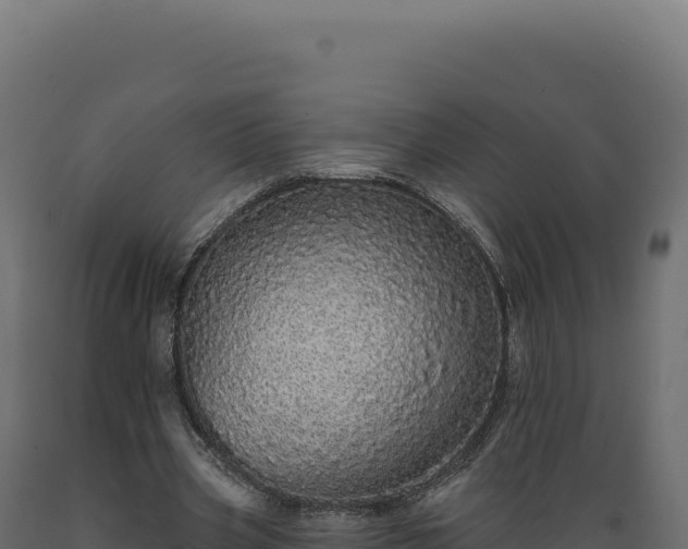 X0000089960533200707061142
