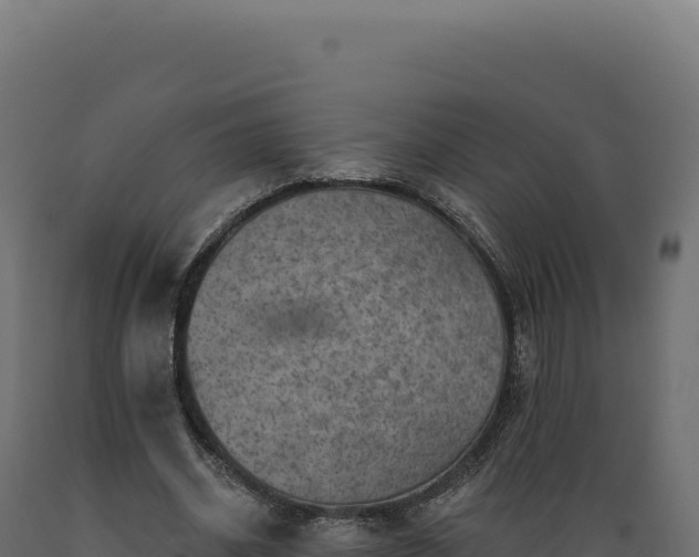 X0000089960534200707061142