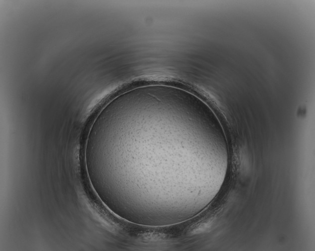 X0000089960535200707061142
