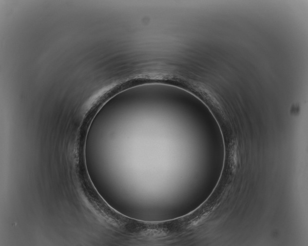 X0000089960536200707061142