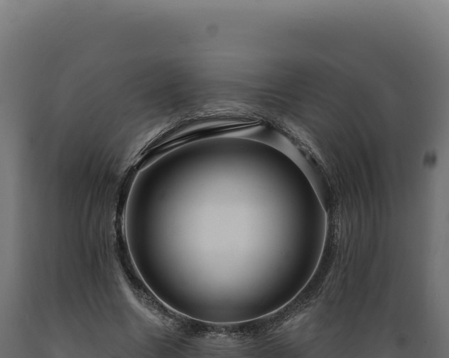 X0000089960538200707061142