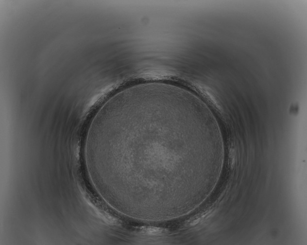 X0000089960539200707061142