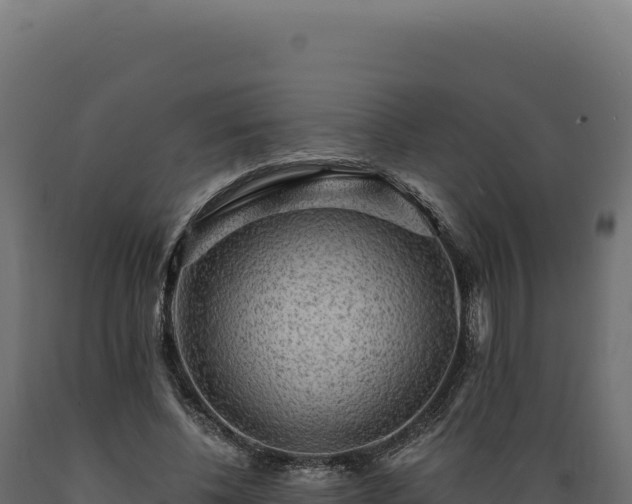 X0000089960540200707061142