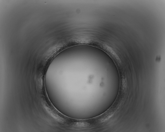 X0000089960541200707061142