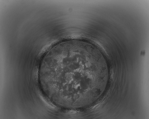 X0000089960542200707061142