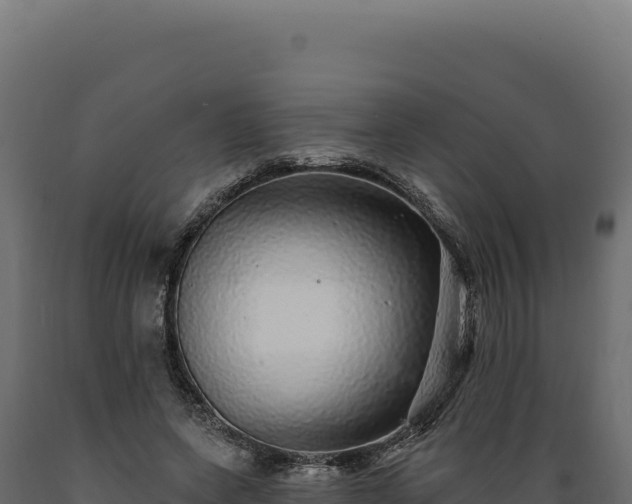 X0000089960543200707061142