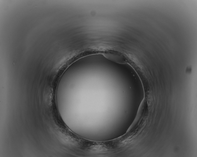 X0000089960544200707061142