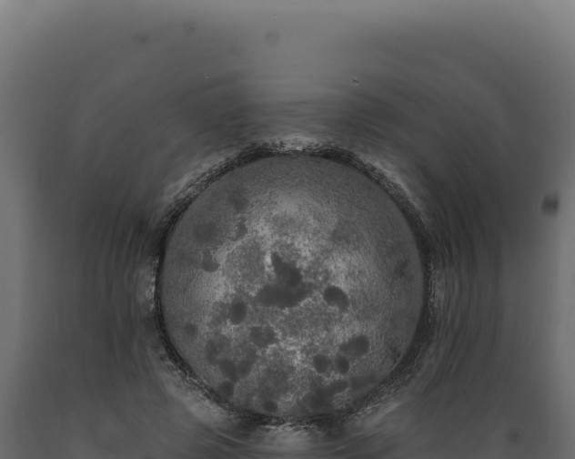 X0000089960545200707061142