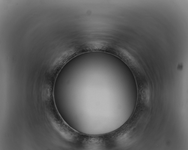 X0000089960546200707061142