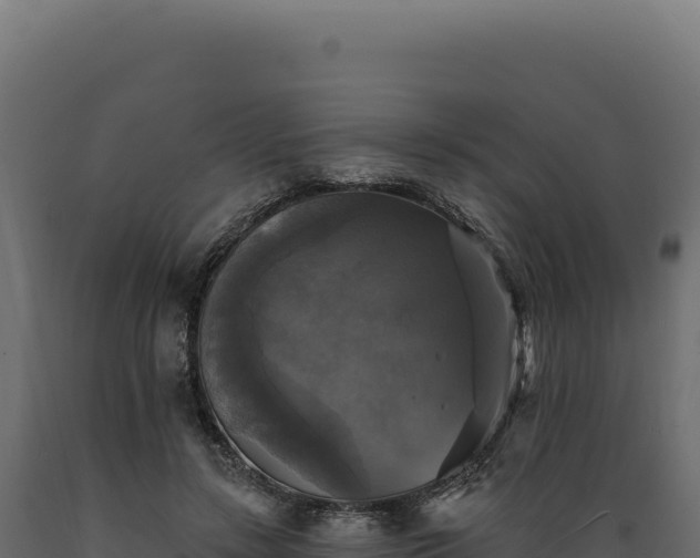 X0000089960547200707061142