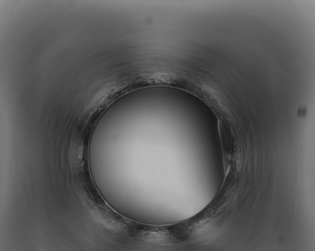 X0000089960548200707061142