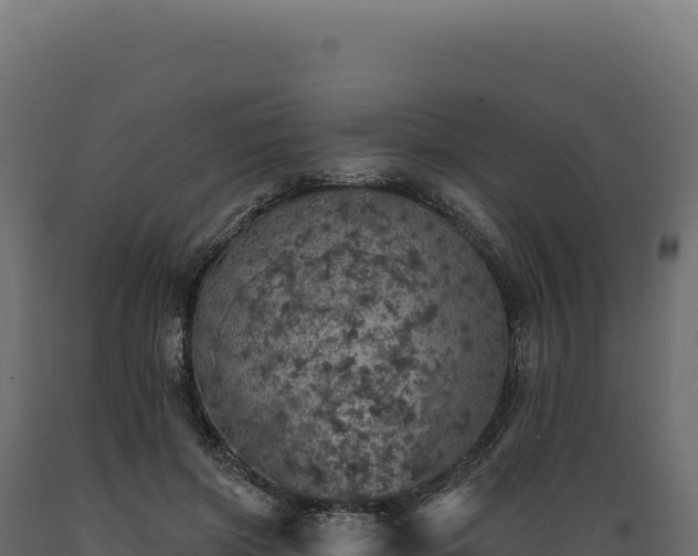 X0000089960549200707061142