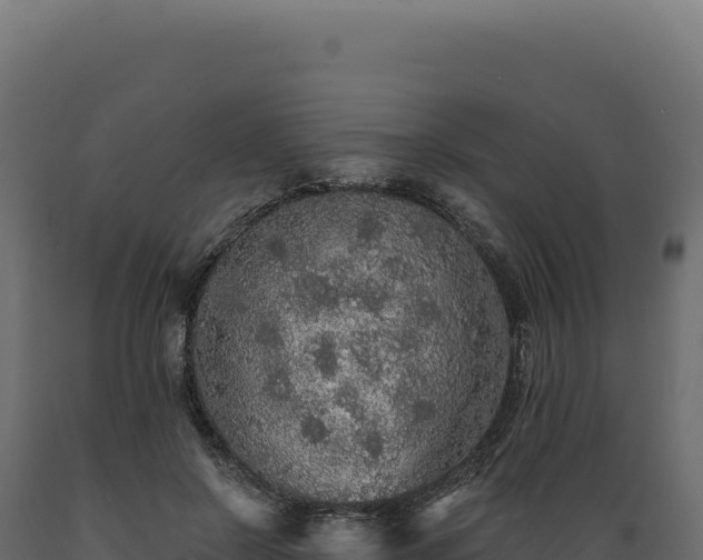 X0000089960550200707061142