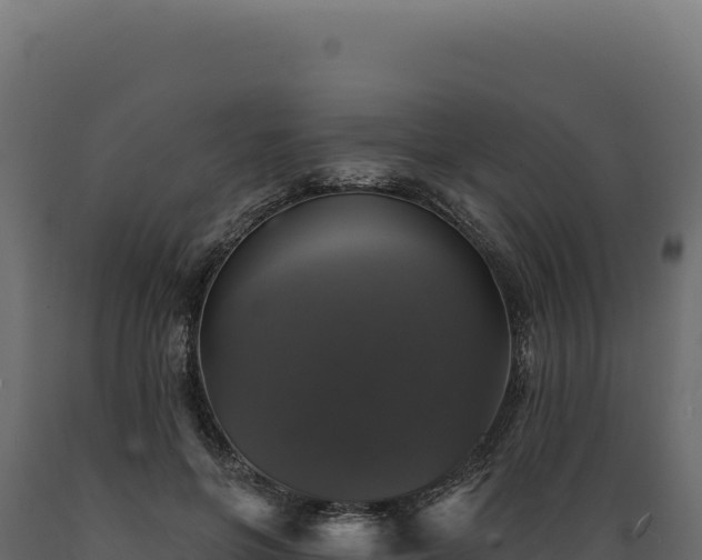 X0000089960551200707061142